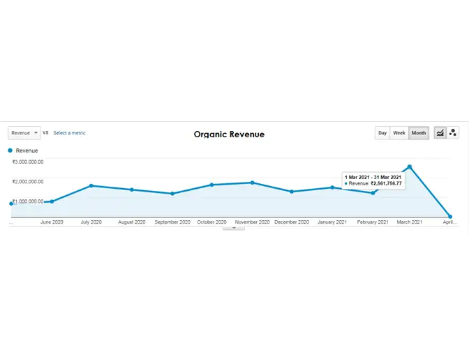 Ecommerce SEO Services
